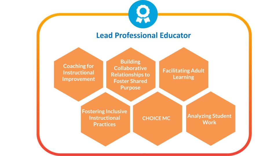 Lead Professional Educator Micro-endorsement