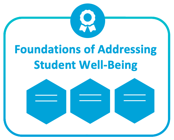 Attending to Student Well-being